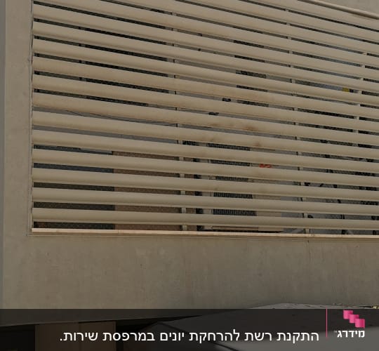 רשת מתכת על תריסים למניעת כניסת יונים